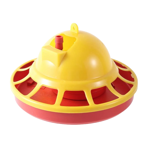 Alimentação e Snacks